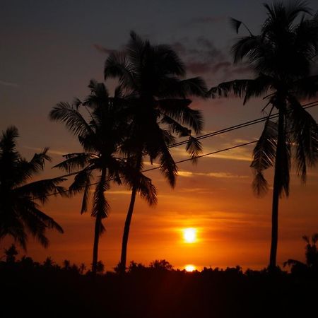Lafyu Bali Otel Singaraja Dış mekan fotoğraf