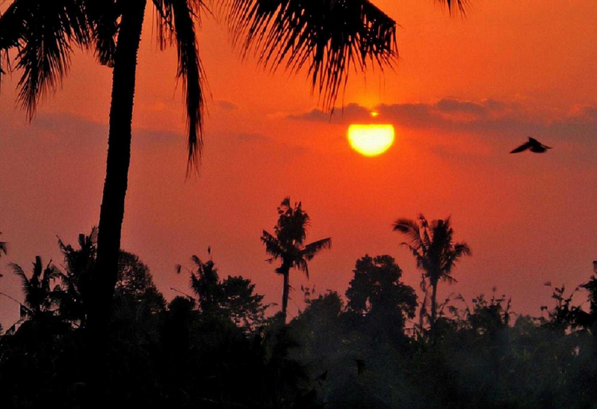 Lafyu Bali Otel Singaraja Dış mekan fotoğraf