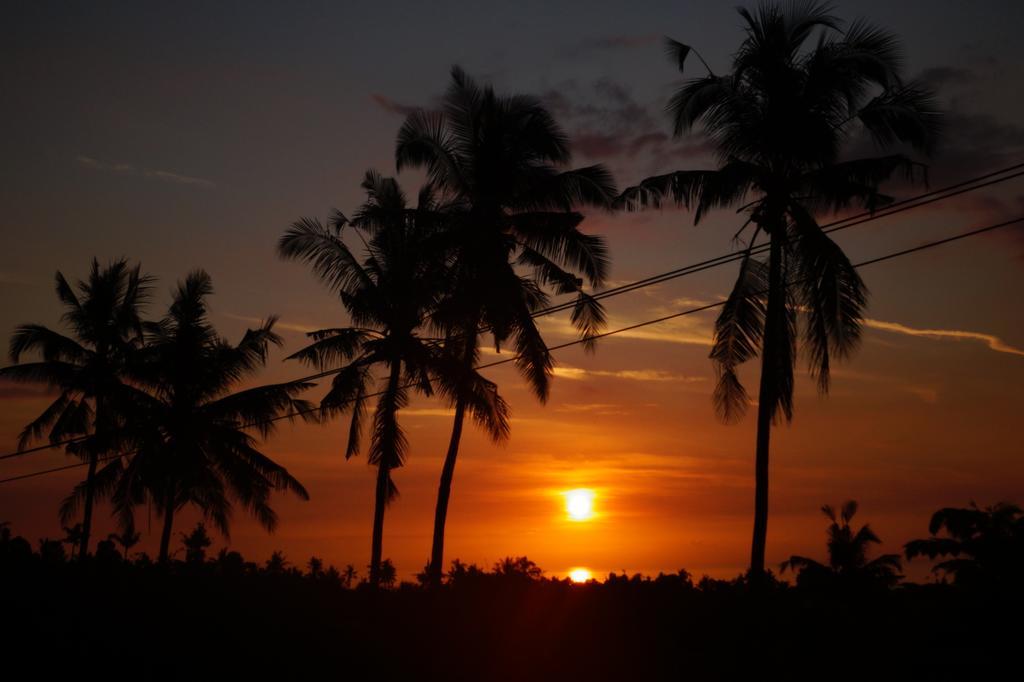 Lafyu Bali Otel Singaraja Dış mekan fotoğraf