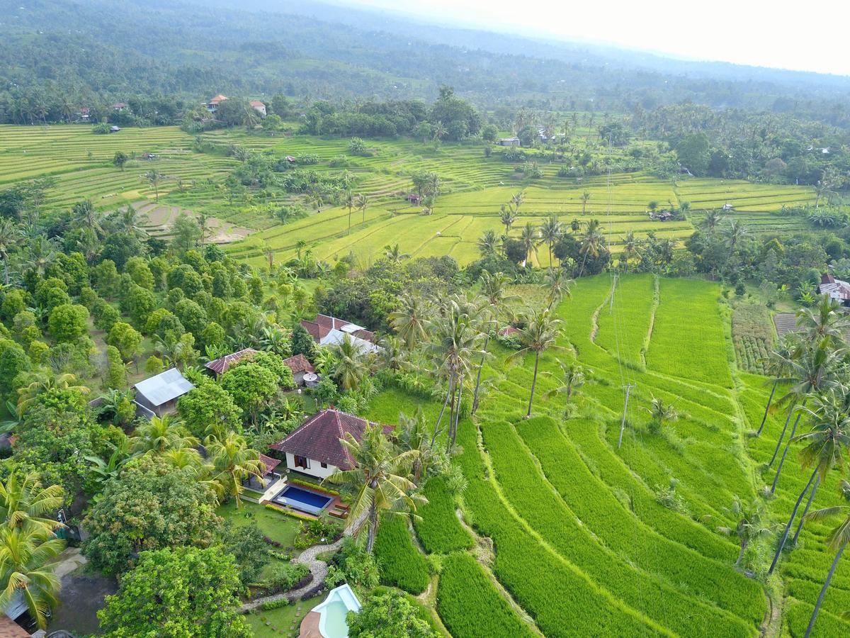 Lafyu Bali Otel Singaraja Dış mekan fotoğraf