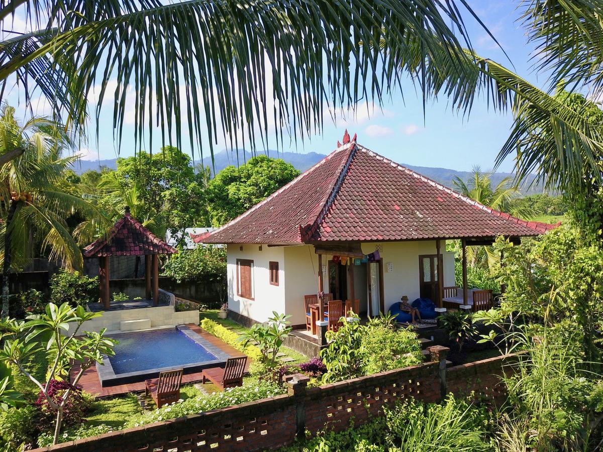 Lafyu Bali Otel Singaraja Dış mekan fotoğraf