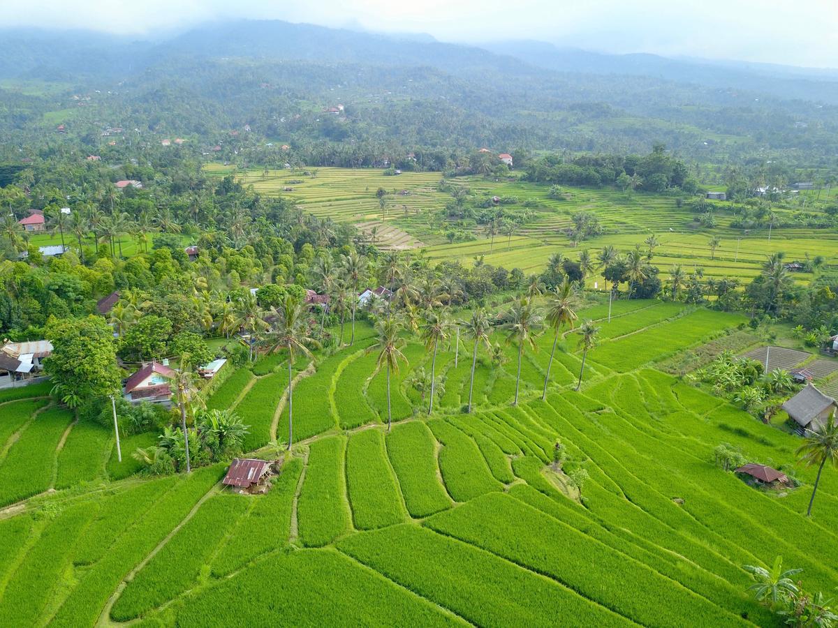 Lafyu Bali Otel Singaraja Dış mekan fotoğraf