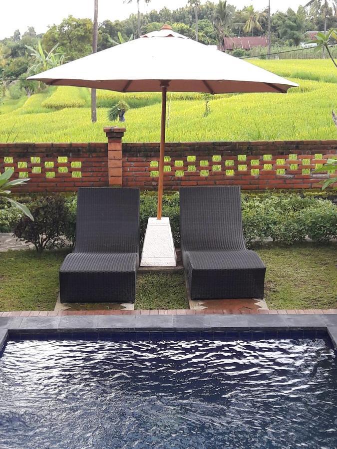 Lafyu Bali Otel Singaraja Dış mekan fotoğraf