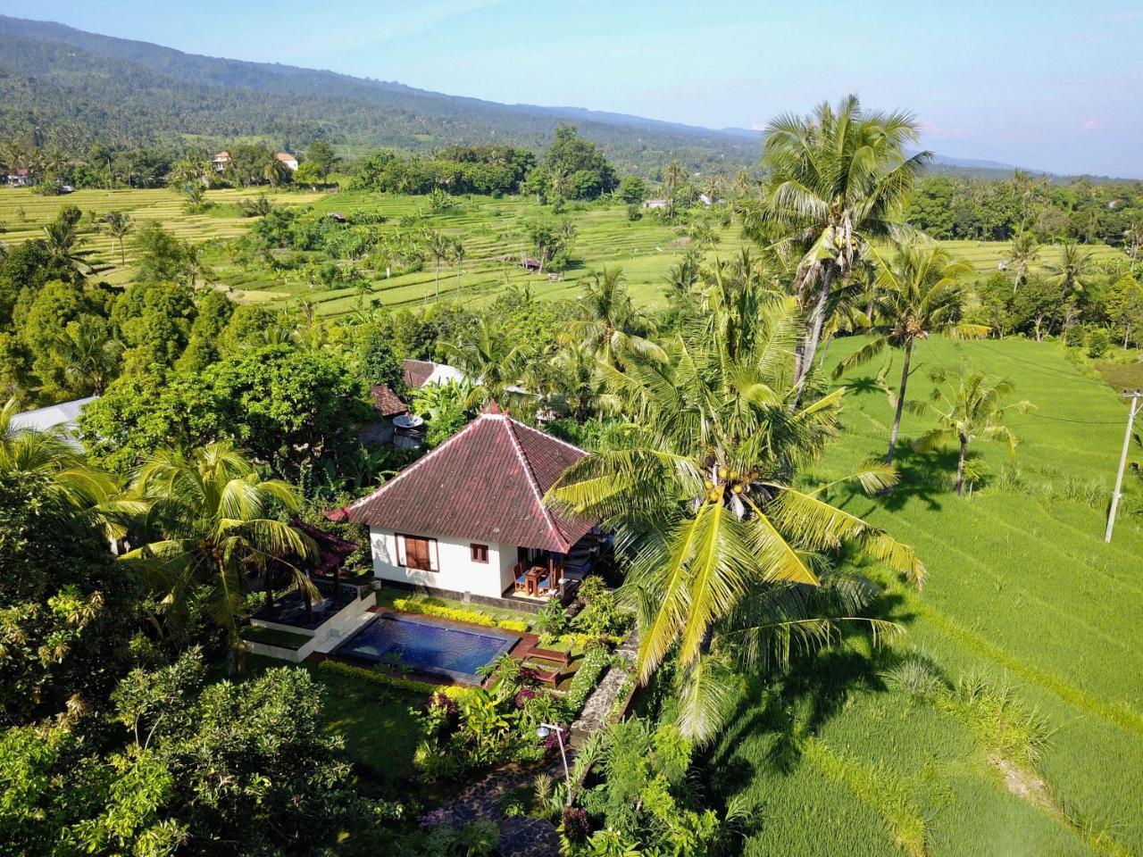 Lafyu Bali Otel Singaraja Dış mekan fotoğraf